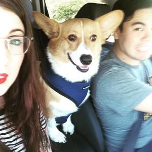 Meet your Posher, Amanda